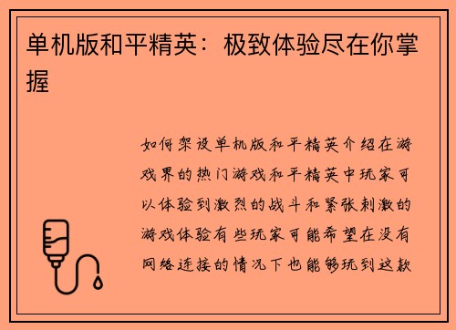 单机版和平精英：极致体验尽在你掌握